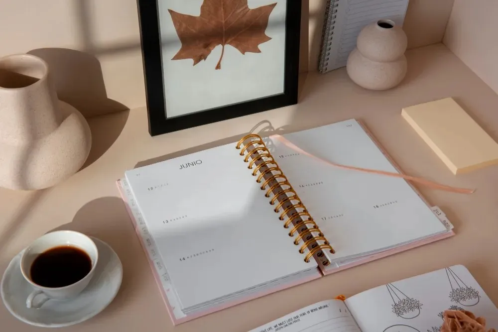 Scopus-Indexed Journal Writing